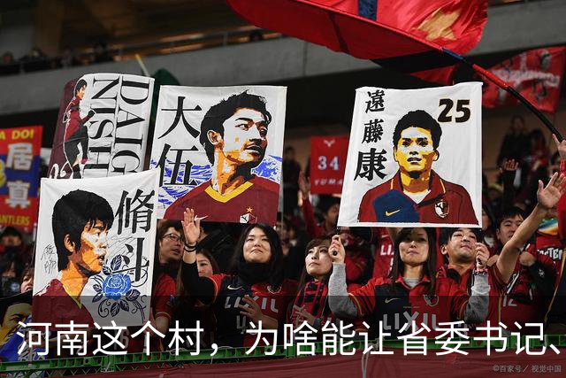 河南这个村，为啥能让省委书记、代省长一起去现场调研？